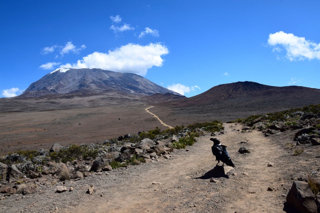 Marangu Route