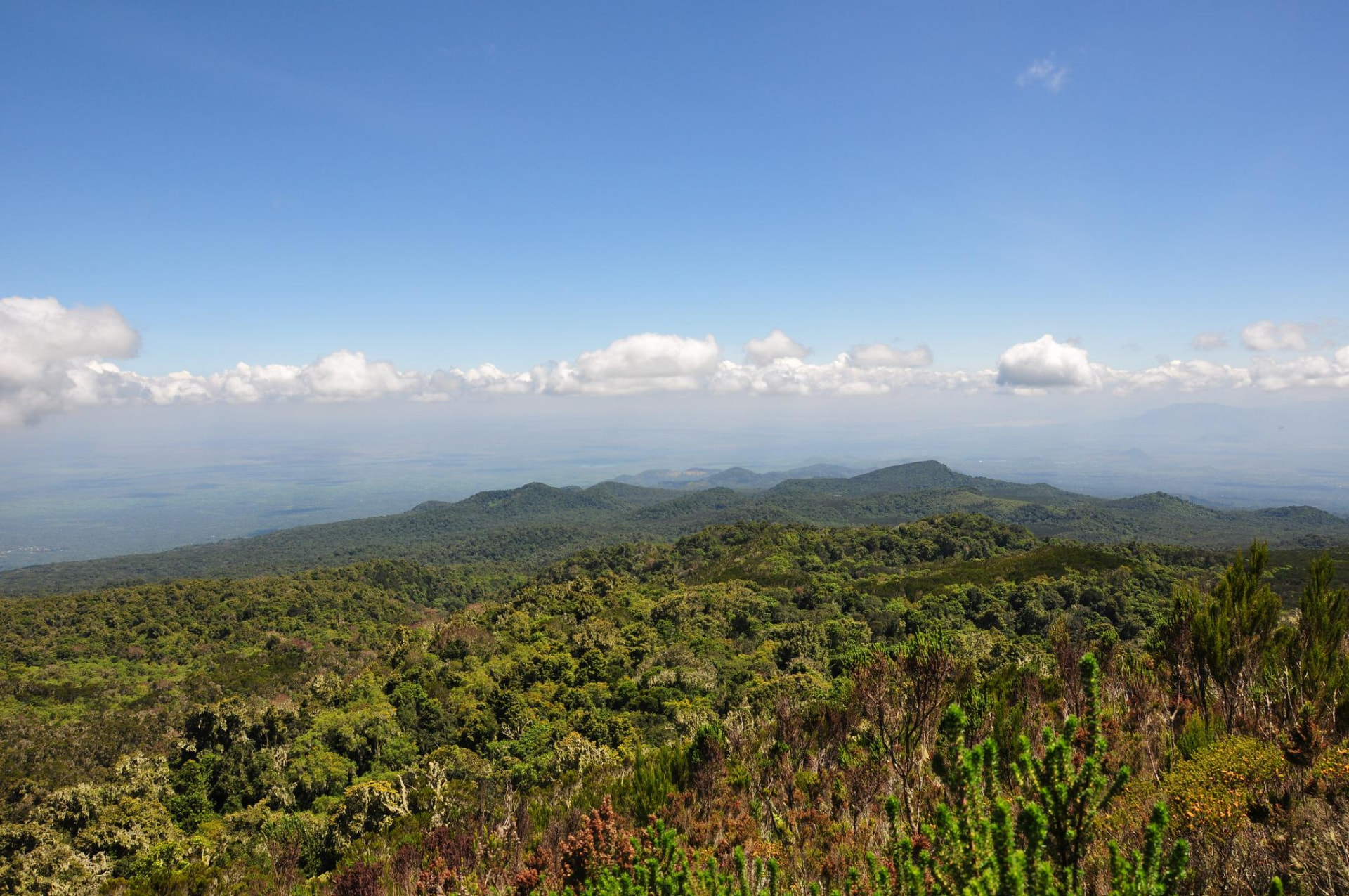 Lemosho Route